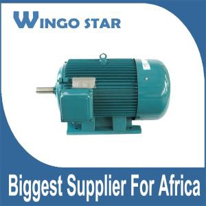 Motor d'inducció trifàsic de ferro colat de la sèrie Y d'alta qualitat